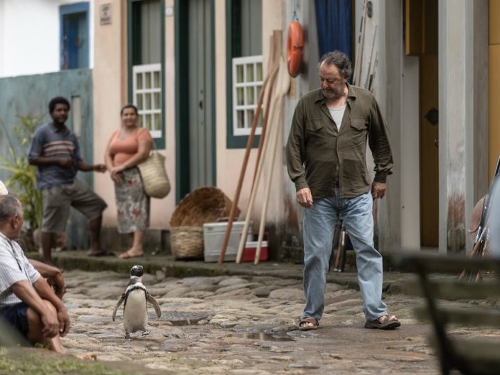 Pinguins brasileiras estrelam filme norte americano