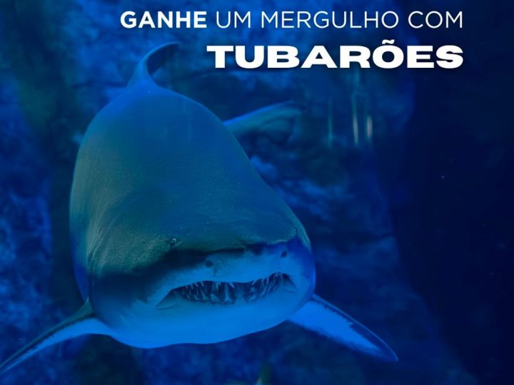 Oceanic Aquarium celebra 5 anos com muitas novidades