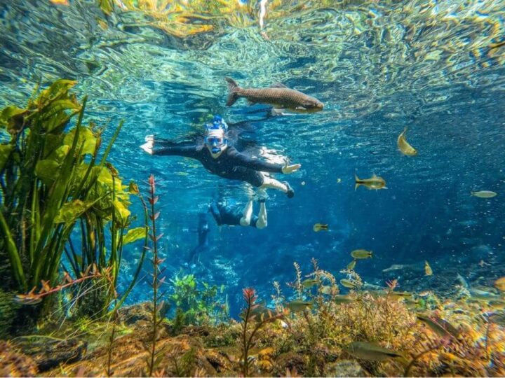 4 motivos para visitar a Nascente Azul no inverno