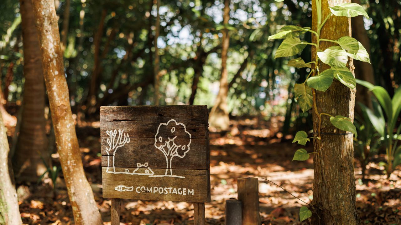 Antes de virar tendência: hotéis brasileiros já praticavam sustentabilidade de forma orgânica
