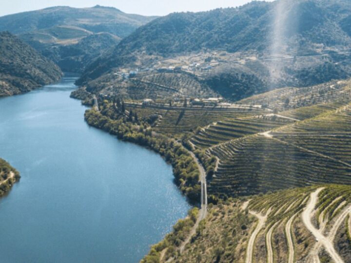 Vinho do Porto: mitos sobre harmonização