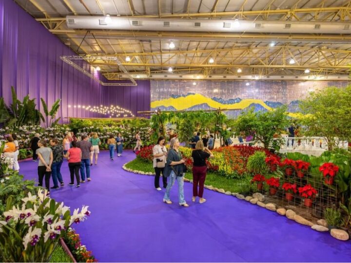 Joinville apresenta Natal e Festa das Flores em feira de turismo