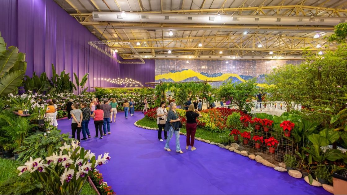 Joinville apresenta Natal e Festa das Flores em feira de turismo